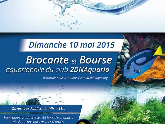 affiche-2015