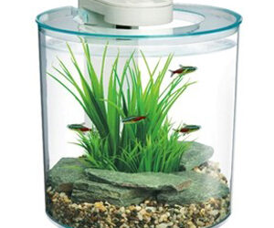 nano-aquarium-hagen-marina-360