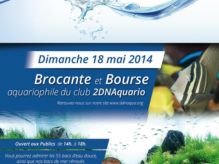 poster_bourse-optimise